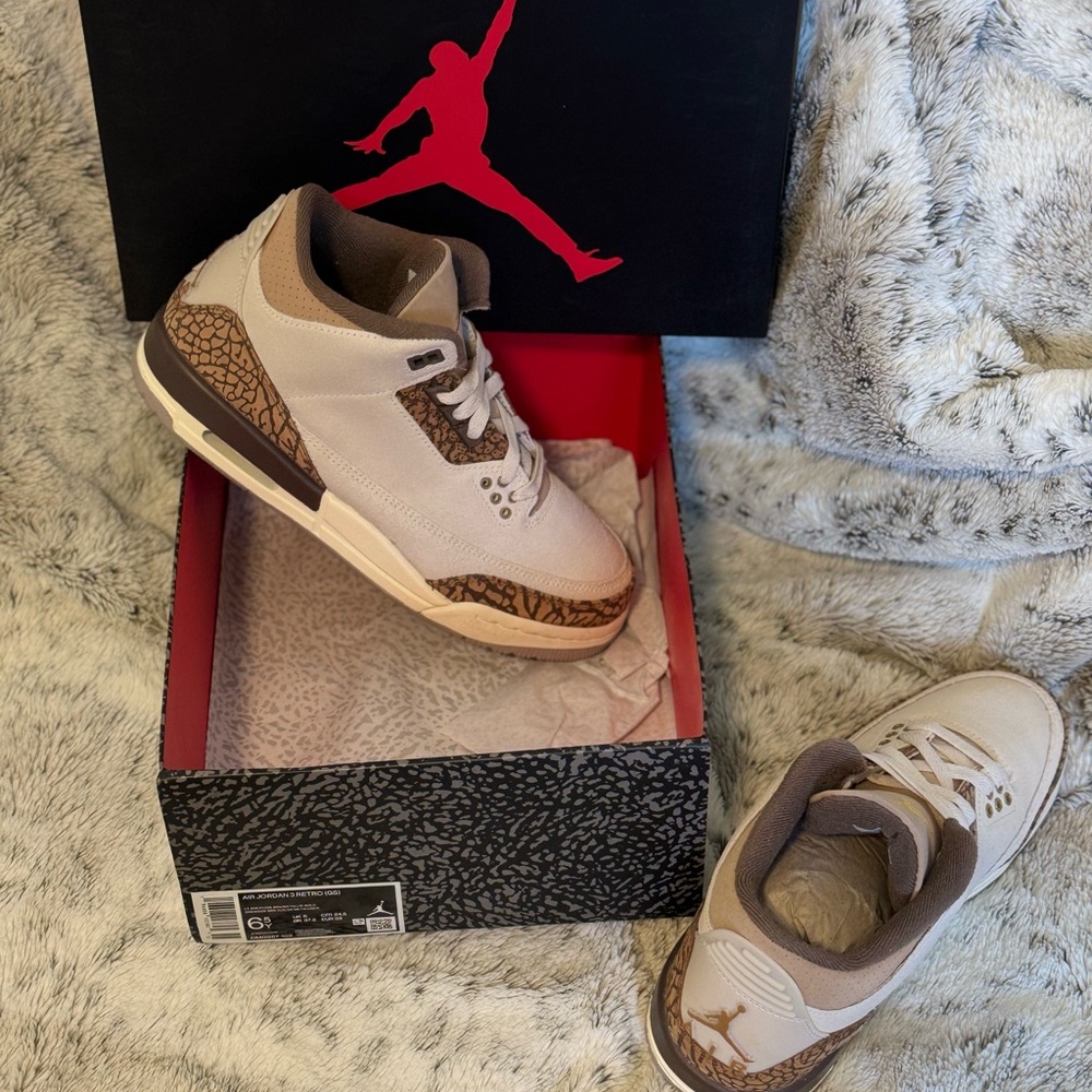 Air Jordan 3 Retro (GS)